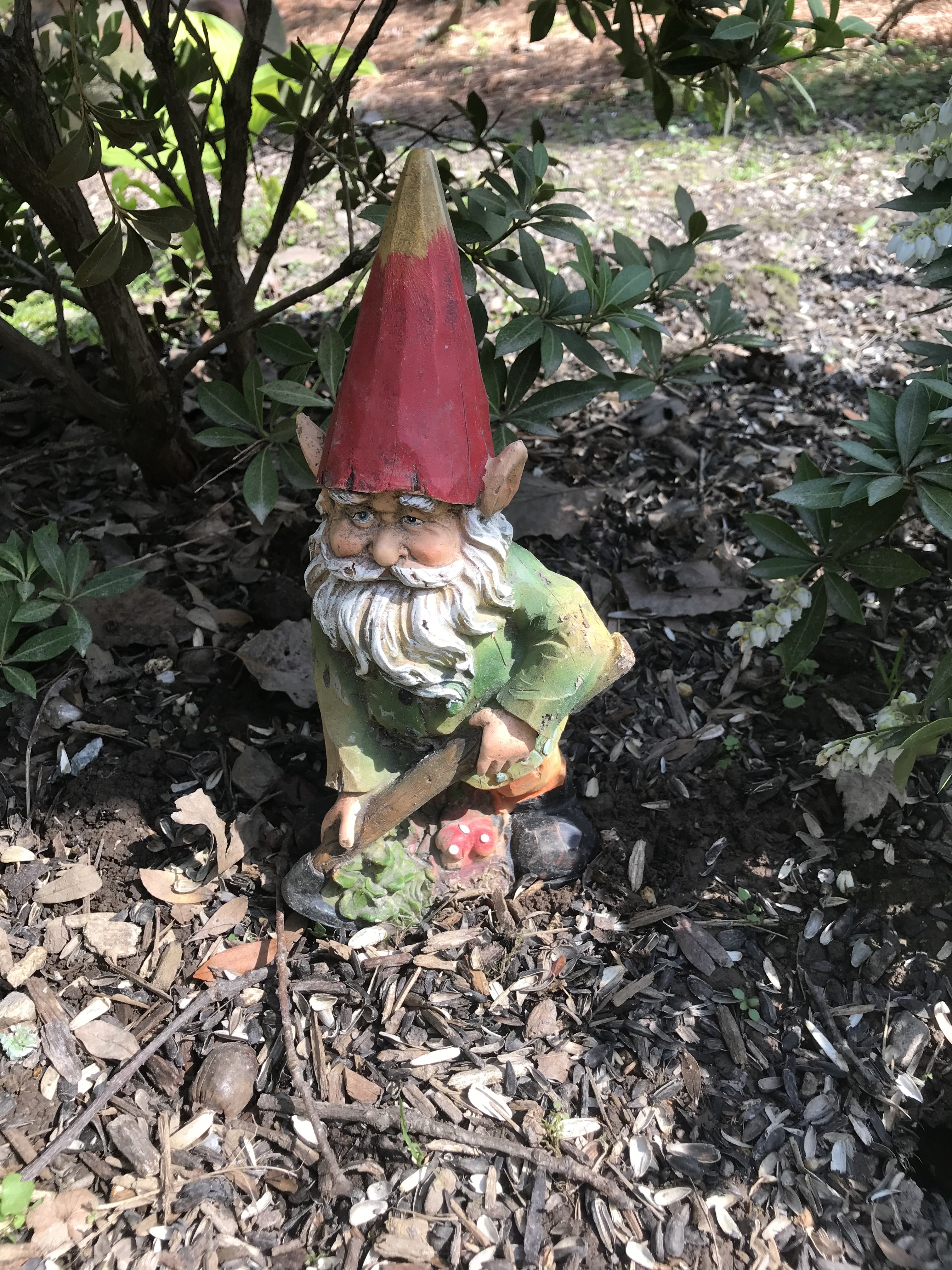 Decor Gnomes | Randy Stewart's Garden